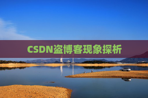 CSDN盗博客现象探析 CSDN盗博客现象探析